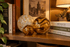 TIGER Decorative Glass Balls set of 3-Worldly Goods Too