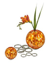 Stabilizing Rings -Set of 6 - Worldly Goods Too