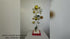 GOLD & SILVER WALL SPHERES
